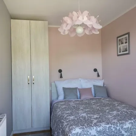 Malinowy Zakatek Triventi Mountain