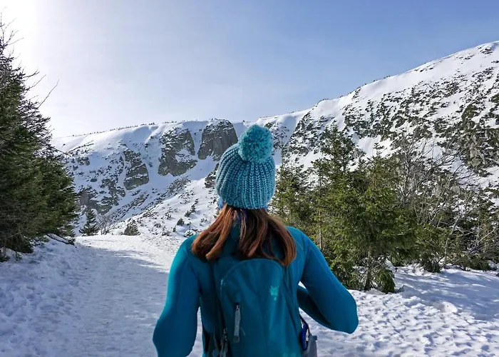 Malinowy Zakatek Triventi Mountain * カルパッチ