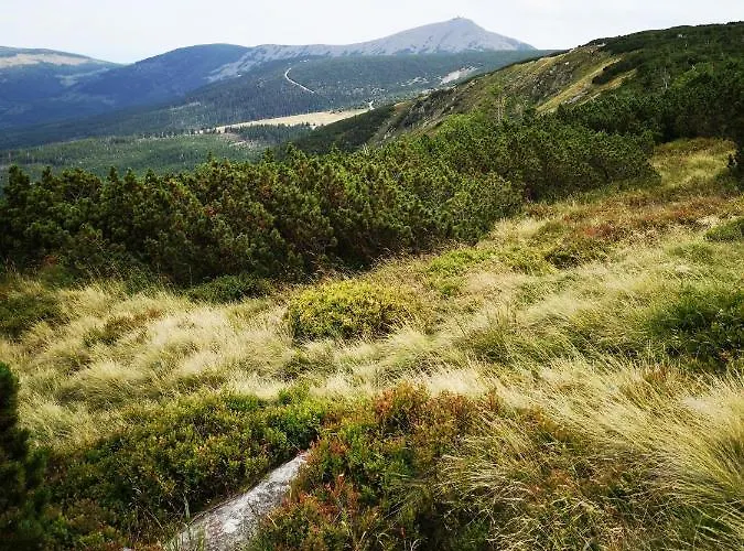 Malinowy Zakatek Triventi Mountain アパート *