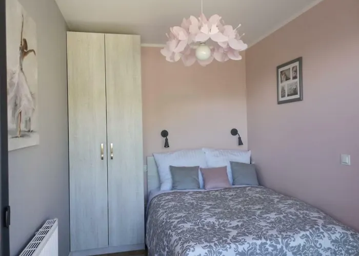 Malinowy Zakatek Triventi Mountain