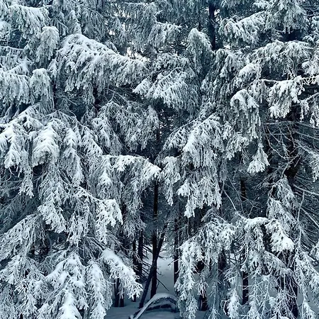 Malinowy Zakatek Triventi Mountain Apartment Karpacz