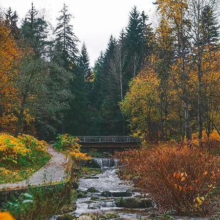 Malinowy Zakatek Triventi Mountain Апартаменты Карпач