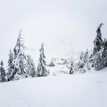Malinowy Zakatek Triventi Mountain Lägenhet