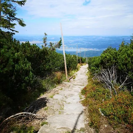 Malinowy Zakatek Triventi Mountain Karpacz