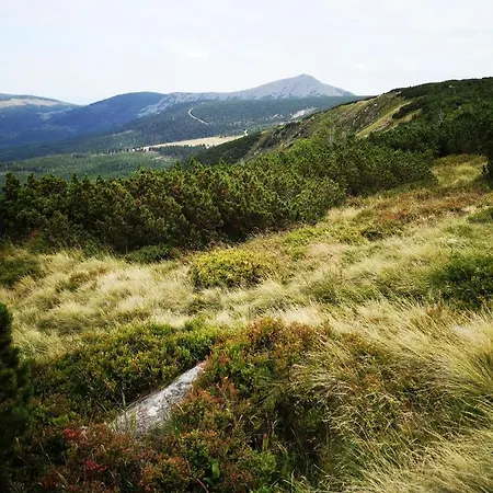 Malinowy Zakatek Triventi Mountain Апартаменты *