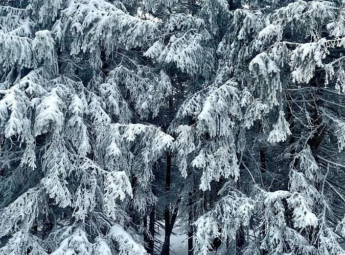 Malinowy Zakatek Triventi Mountain Lejlighed Karpacz