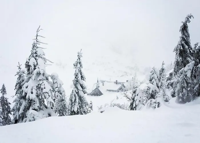 Malinowy Zakatek Triventi Mountain Lejlighed