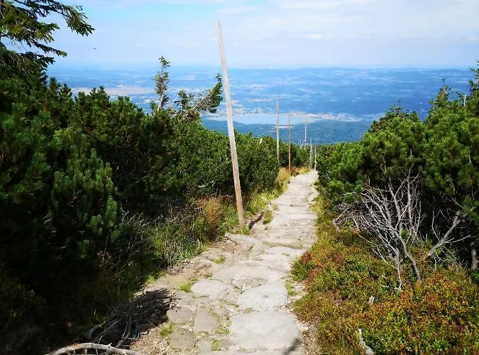 Malinowy Zakatek Triventi Mountain Karpacz